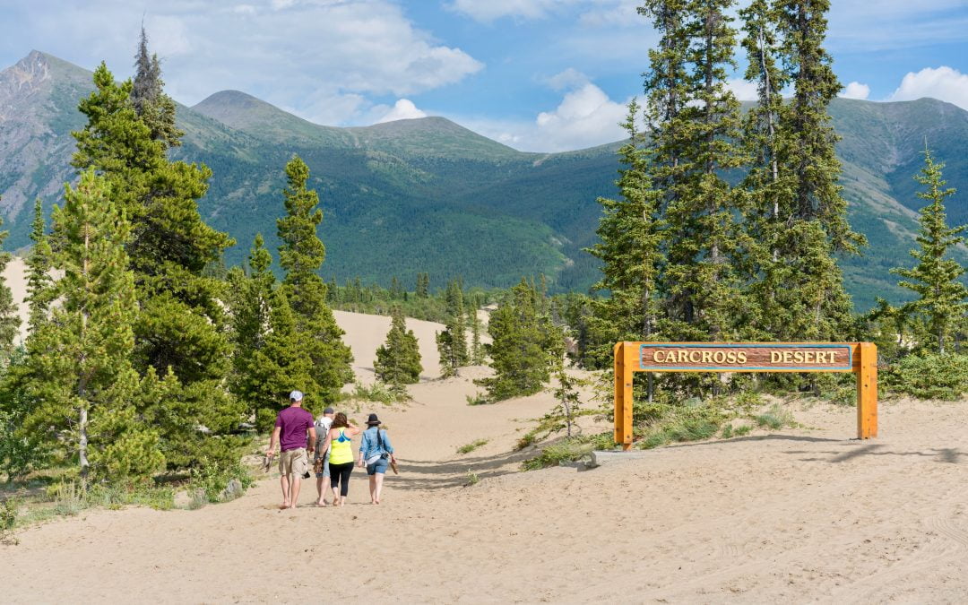 Carcross Desert